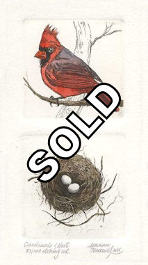 a diptych etchings of a male cardinal and a corresponding nest