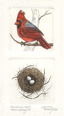a diptych etchings of a male cardinal and a corresponding nest