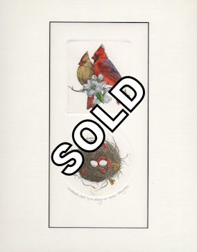 2 plate etching with a pair of cardinals and a nest