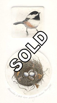 a diptych consisting of a plate of a chickadee and a second plate of a nest
