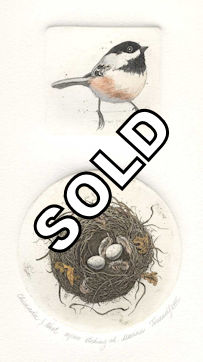 a diptych consisting of a plate of a chickadee and a second plate of a nest