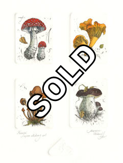 4 plate etching of different type of mushrooms