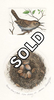 a two plate etching featuring a house wren and a nest