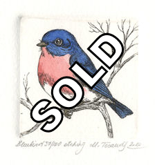 etching and watercolored bluebird