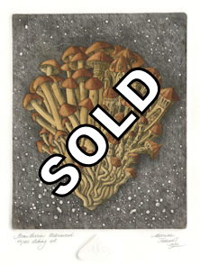 etching of an urbanized armillaria fungi