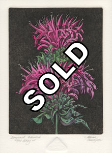 an etching of a fantasy view for a bergamot flower that is urbanized