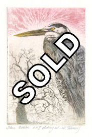 original fine art etching of a blue heron