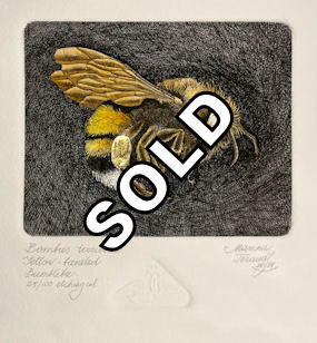 Bumblebee etching with gold leaf gilding