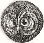 circular image of a boreal owl