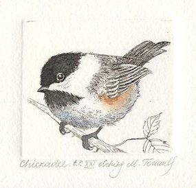 a fluffy chickadee sitting on a branch