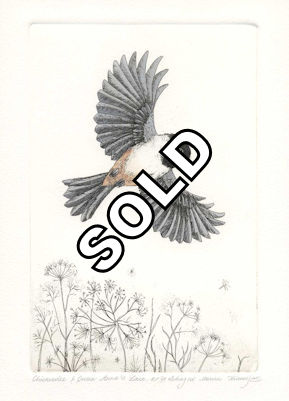 an etching of a chickadee in flight over a patch of queen anne lace plants