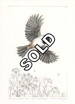 an etching of a chickadee in flight over a patch of queen anne lace plants