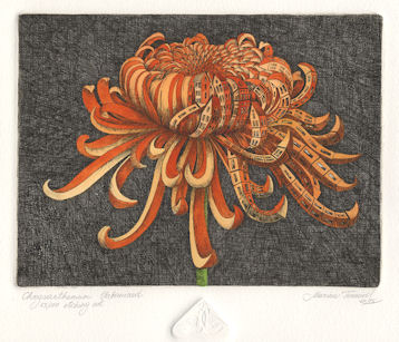 image of an chrysanthemum that is urbanized