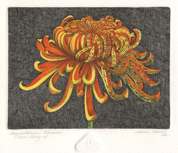 image of an chrysanthemum that is urbanized