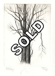 etching of two trees that are embracing each other