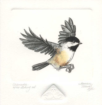 an etching of a chickadee flying 