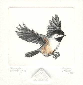 an etching of a chickadee flying 