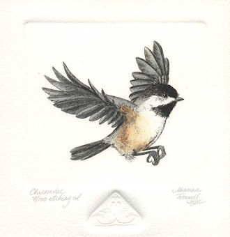 an etching of a chickadee flying 