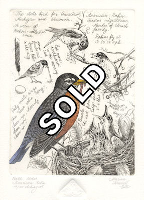 watercolored etching of a robin feeding its young