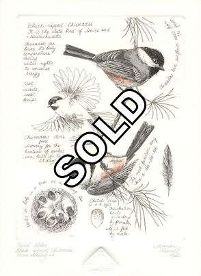 etching of a pair of chickadees surrounded with artist notes