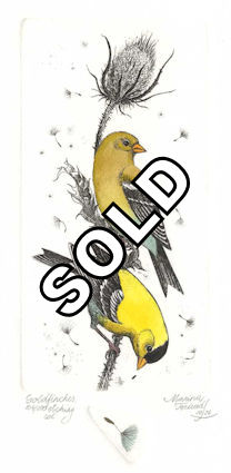 two goldfinches sitting on a seed pod stem