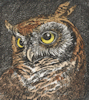 etching of little owl