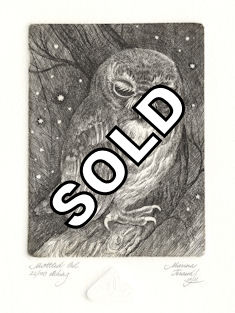 a mottled owl sleepiing on a branch