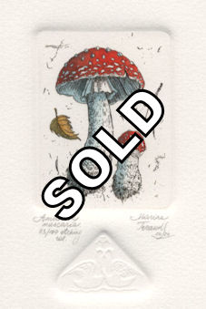 etching of an amanita muscaria mushroom