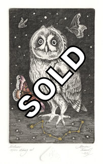 an owl appearing with the lost constellation, Noctua