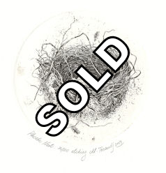 an etching of a phoebe nest