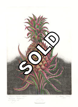 etching of a urbanized pineapple