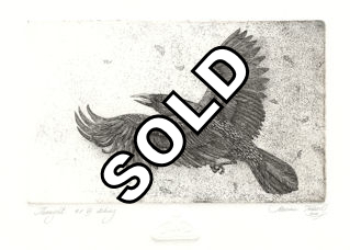 etching of a raven named Thought, from  Norse mythology, Huginn