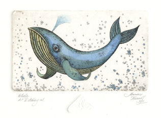 etching of an octopus