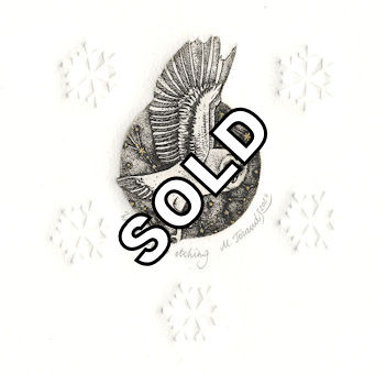 etching of a barn owl against the backdrop of stars during the winter
