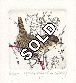 an etching that features a small wren sitting on a weed