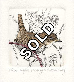 an etching that features a small wren sitting on a weed